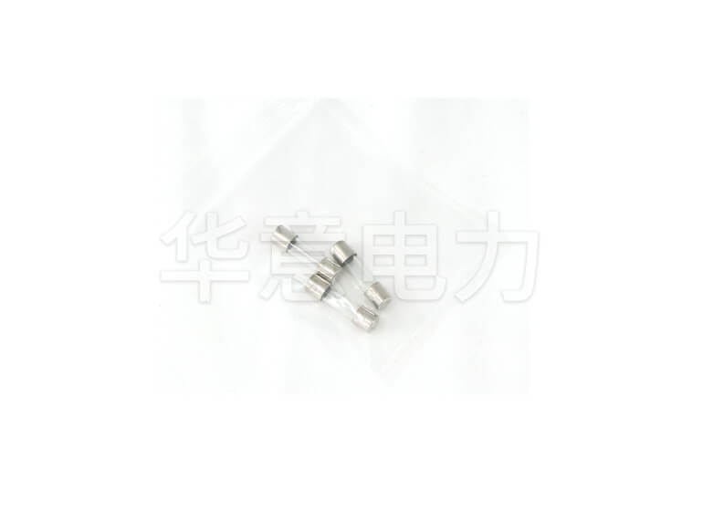 GM 系列可調(diào)高壓數(shù)字兆歐表保險管